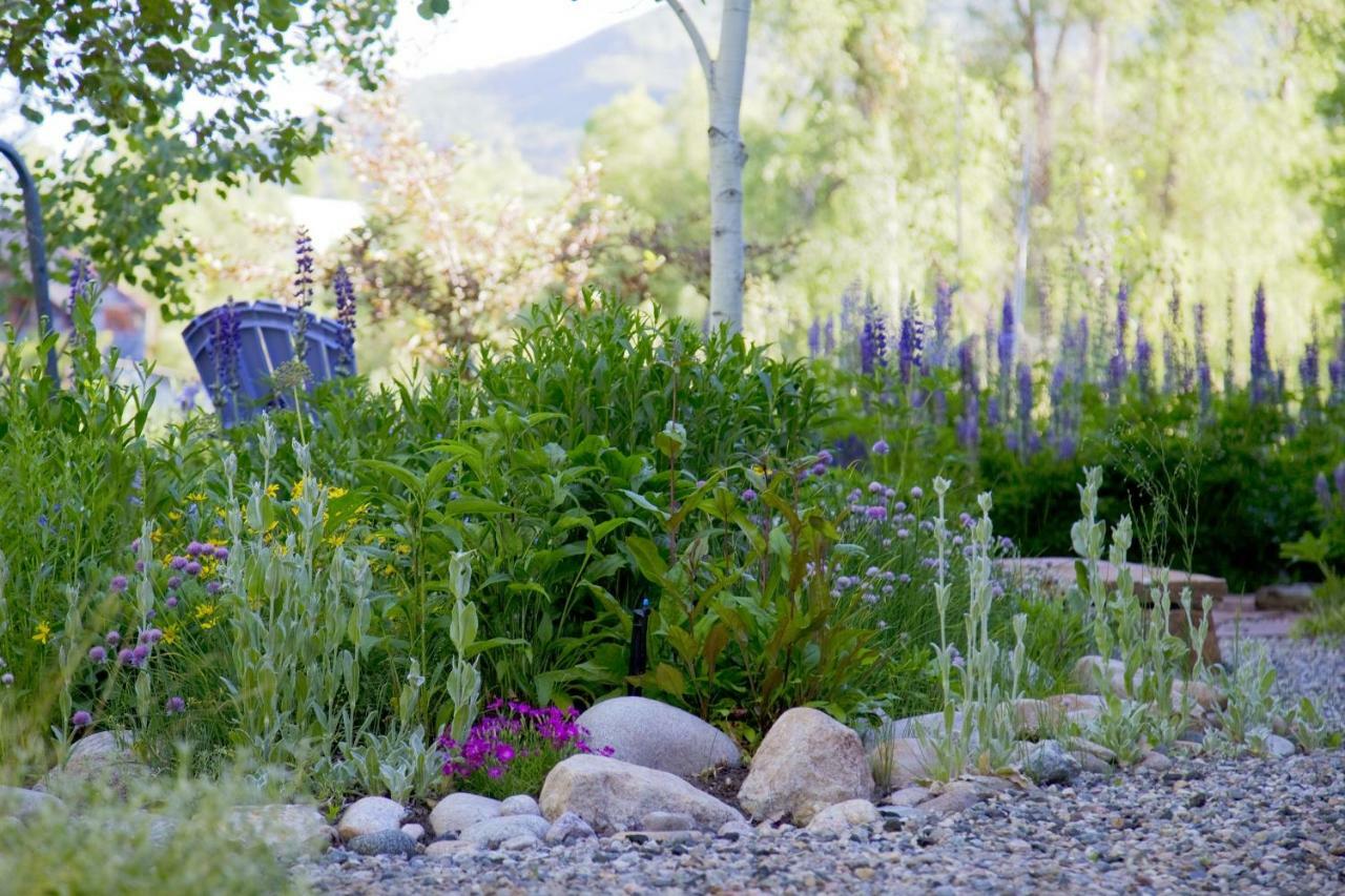 Mariposa Lodge Bed And Breakfast Steamboat Springs Dış mekan fotoğraf